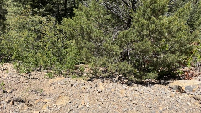 TBD Sawyer Mesa Road