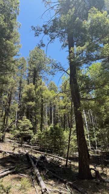 TBD Sawyer Mesa Road