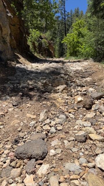 TBD Sawyer Mesa Road