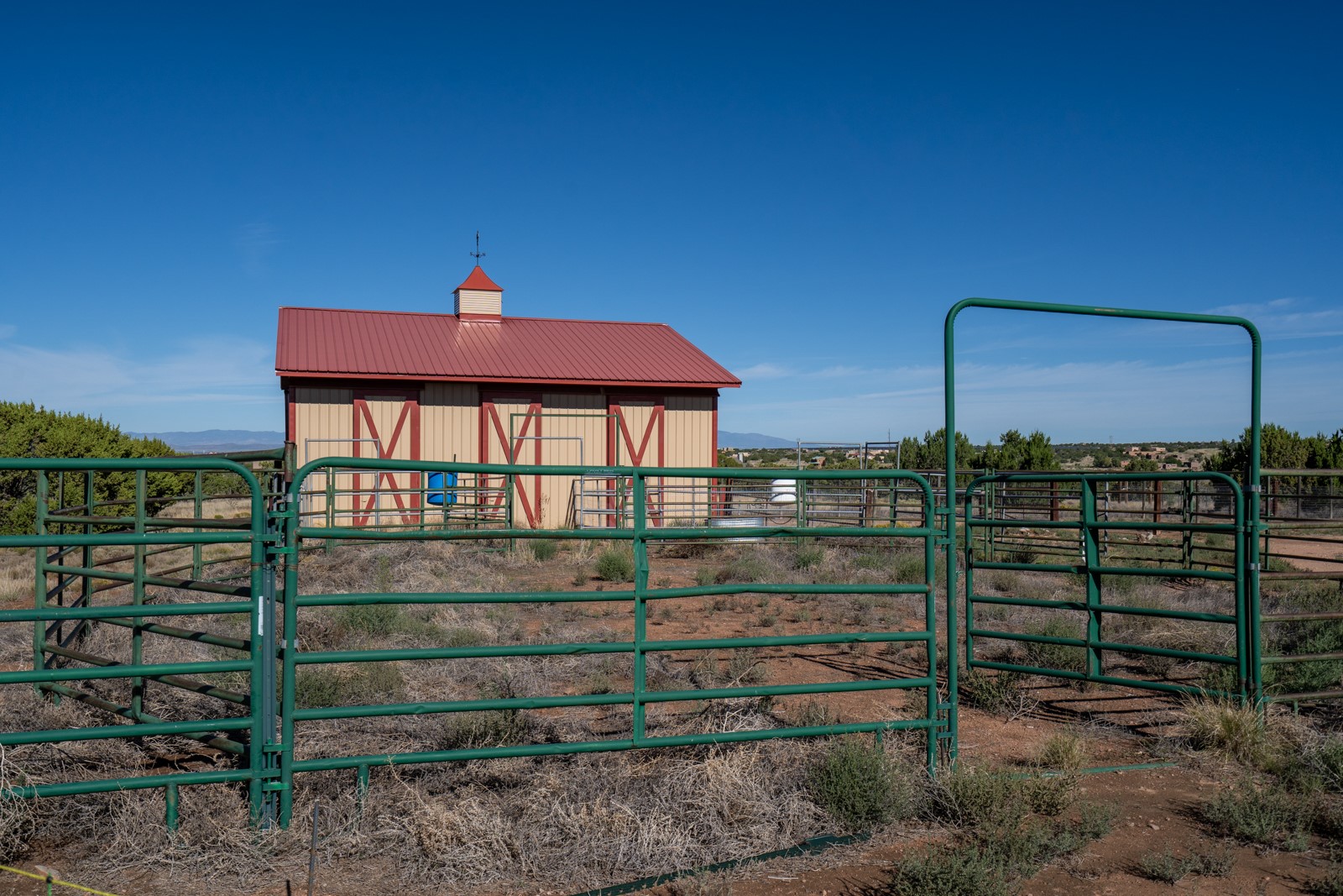 15 Silver Saddle