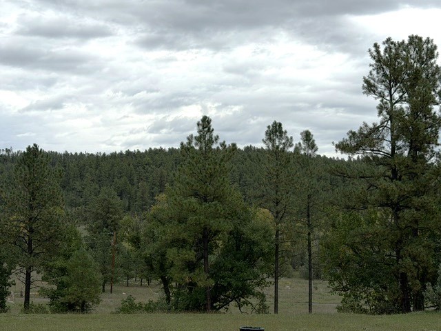 26 Camino Verde