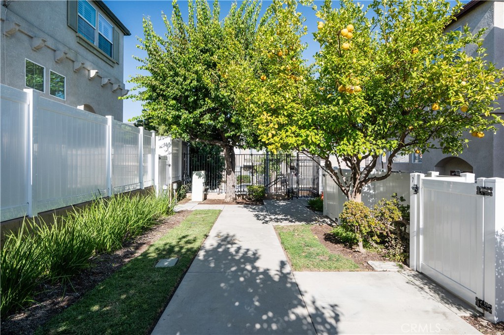 25481 Dodge Avenue 12