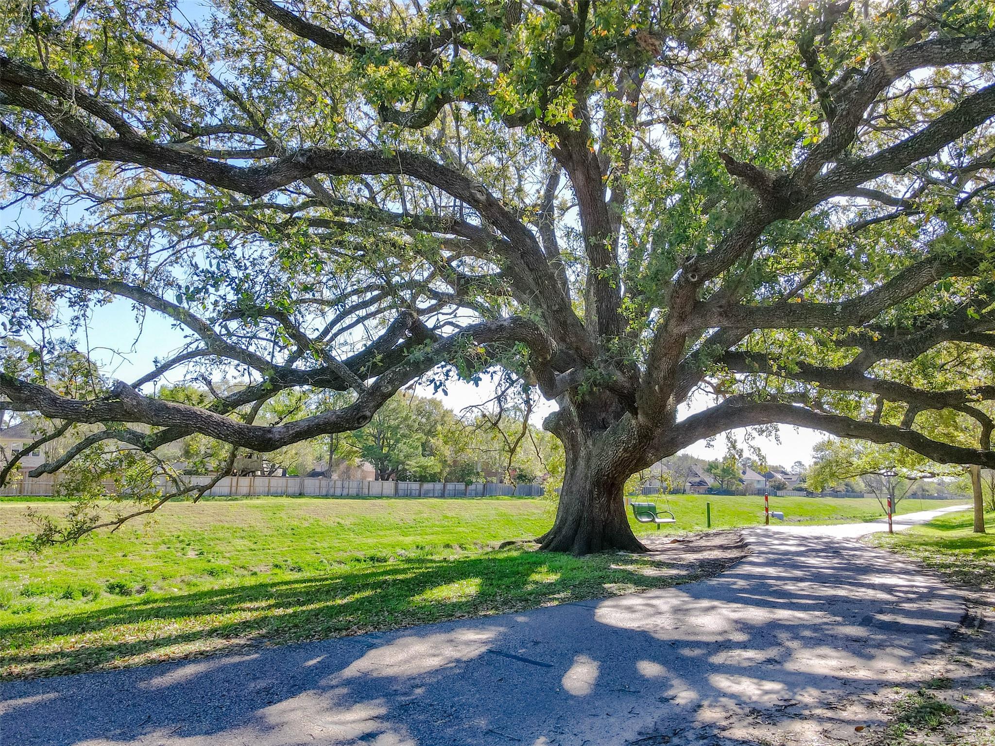 20754 Park Bend Drive