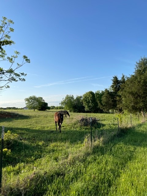 246 Private Road 14135