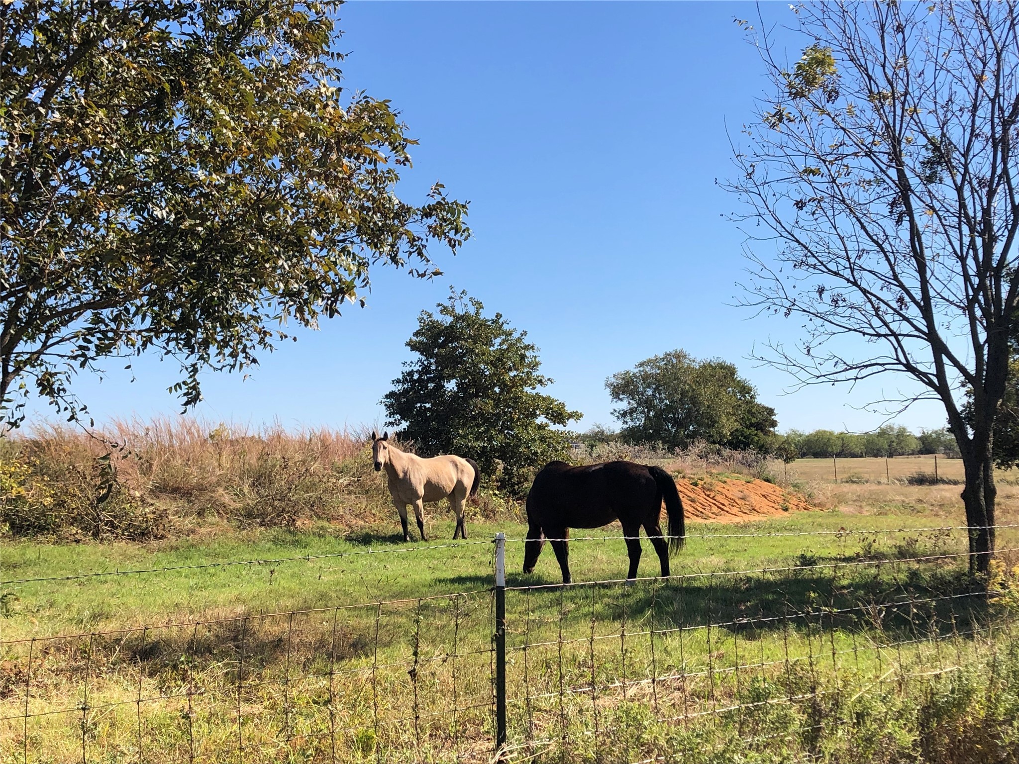 246 Private Road 14135