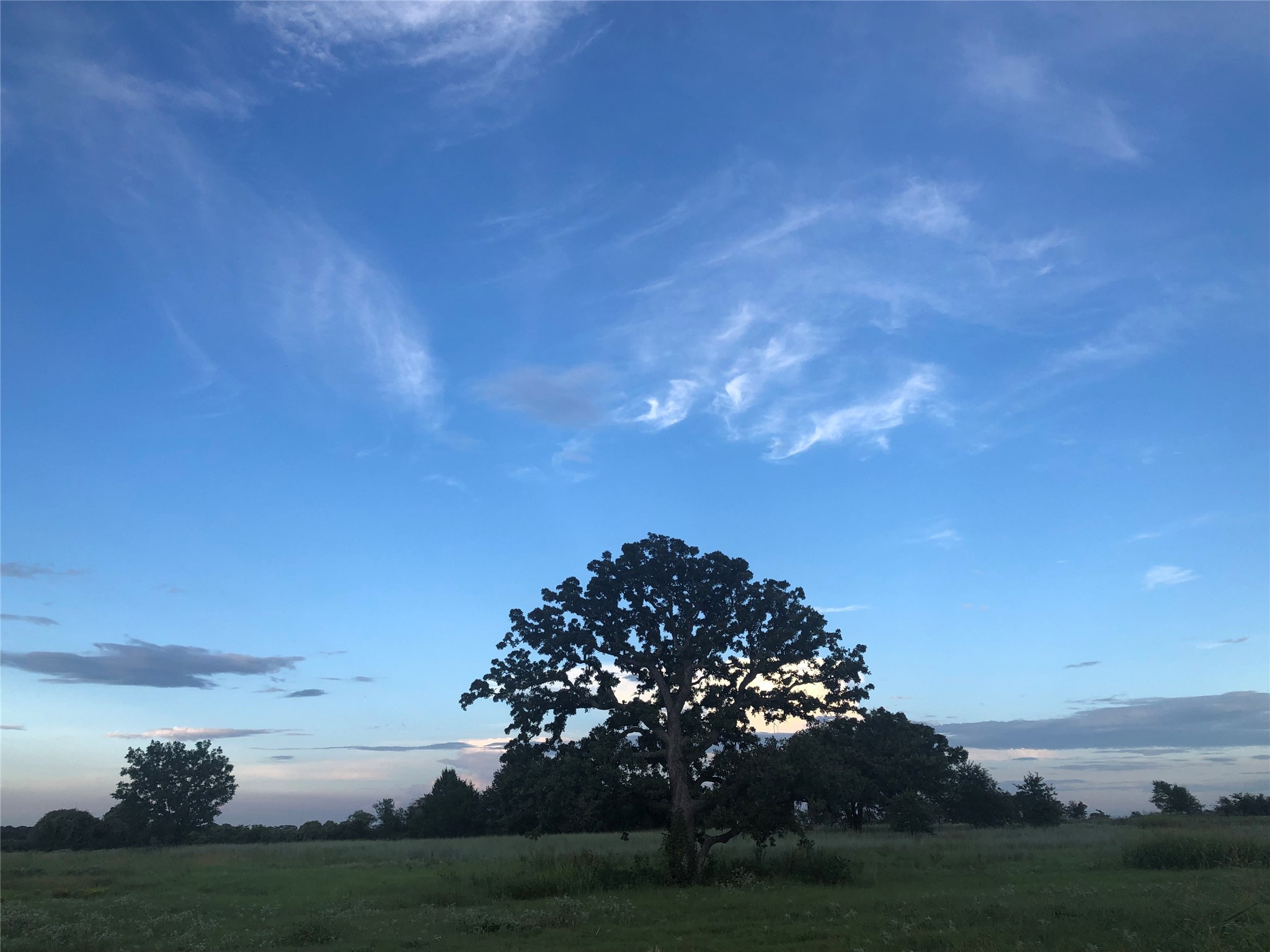 246 Private Road 14135