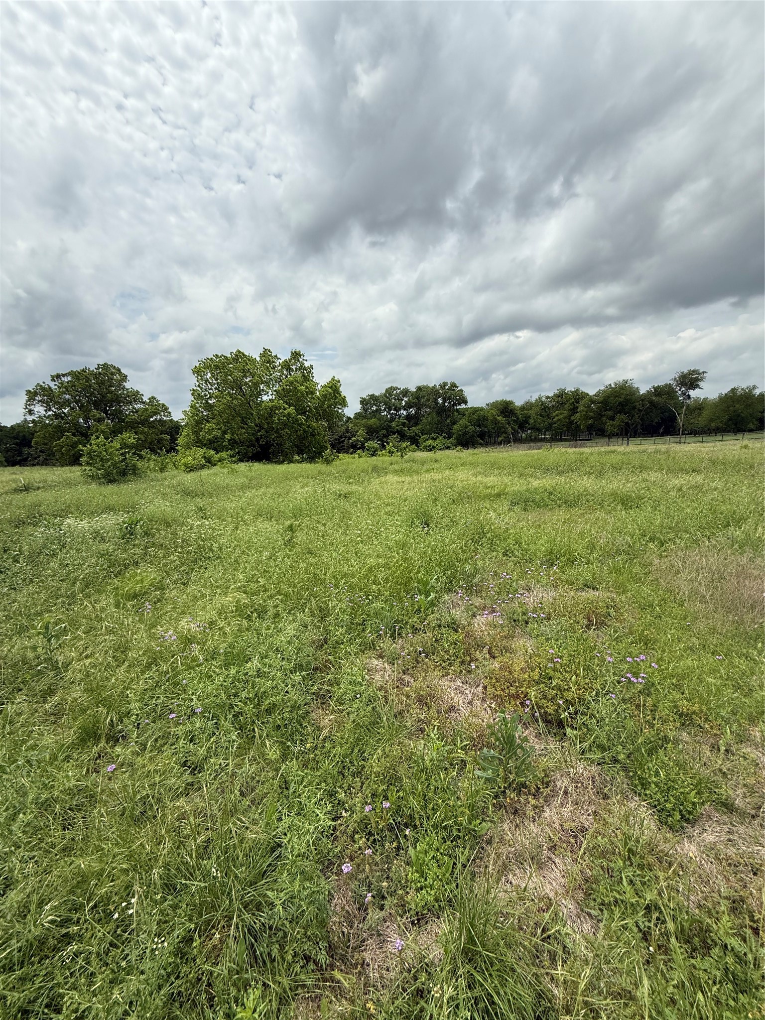 215 N Cummings Drive