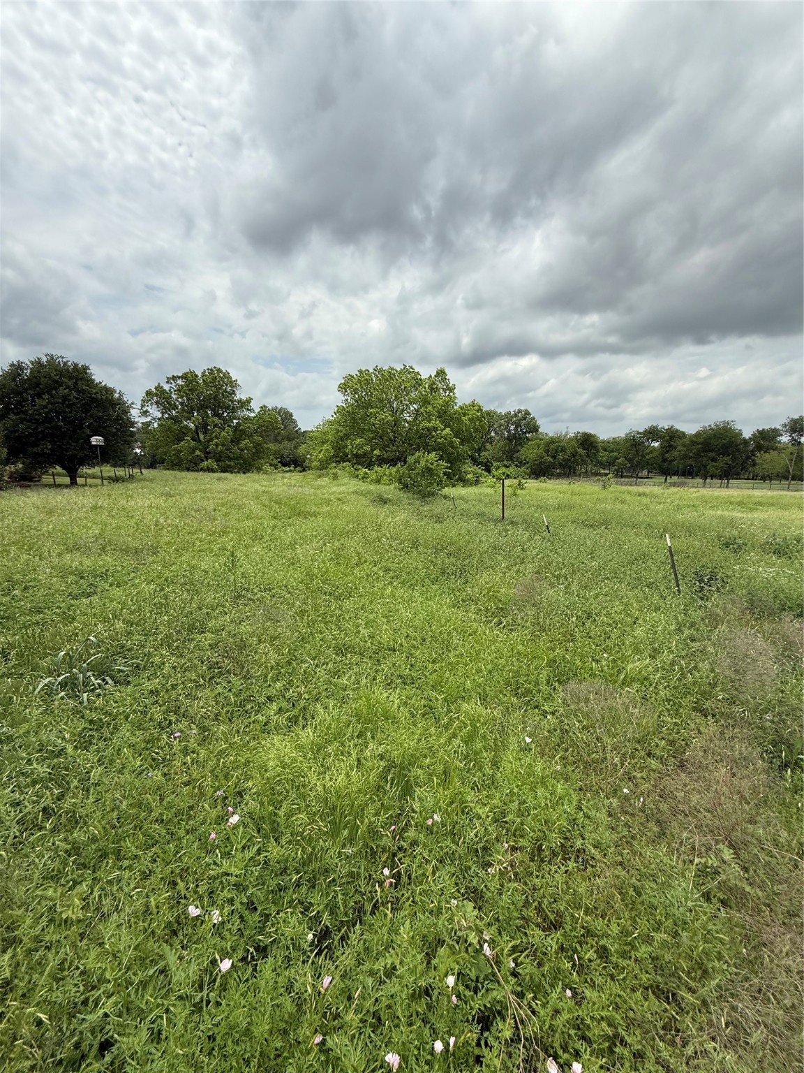 215 N Cummings Drive