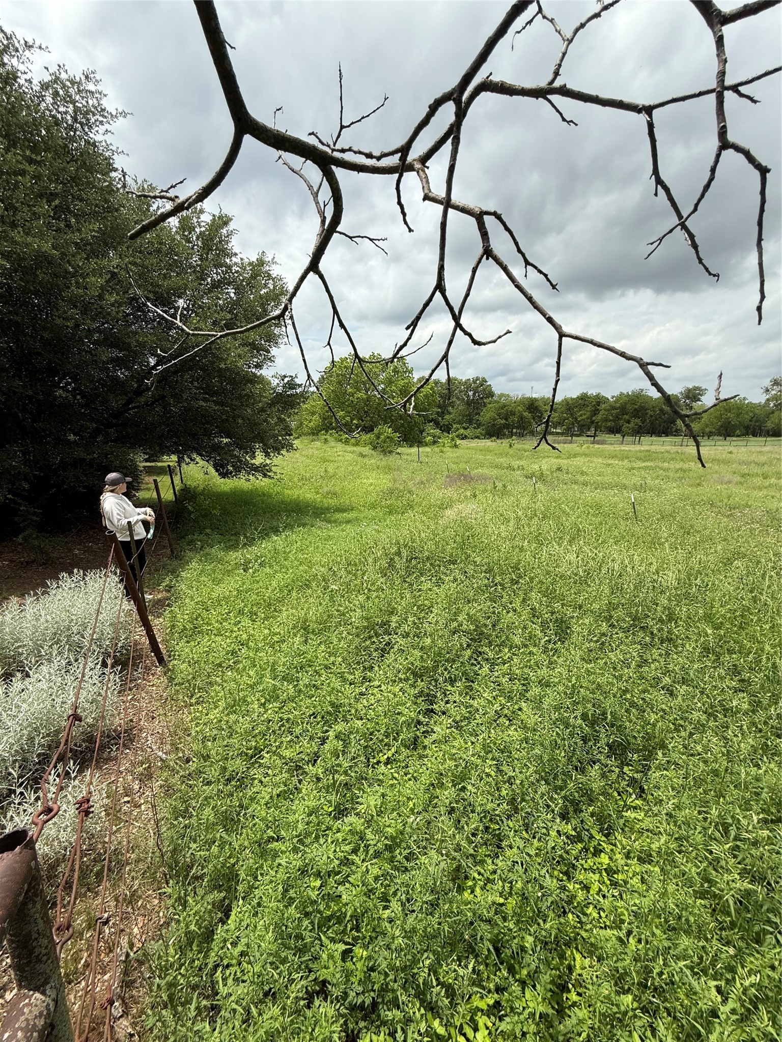 215 N Cummings Drive