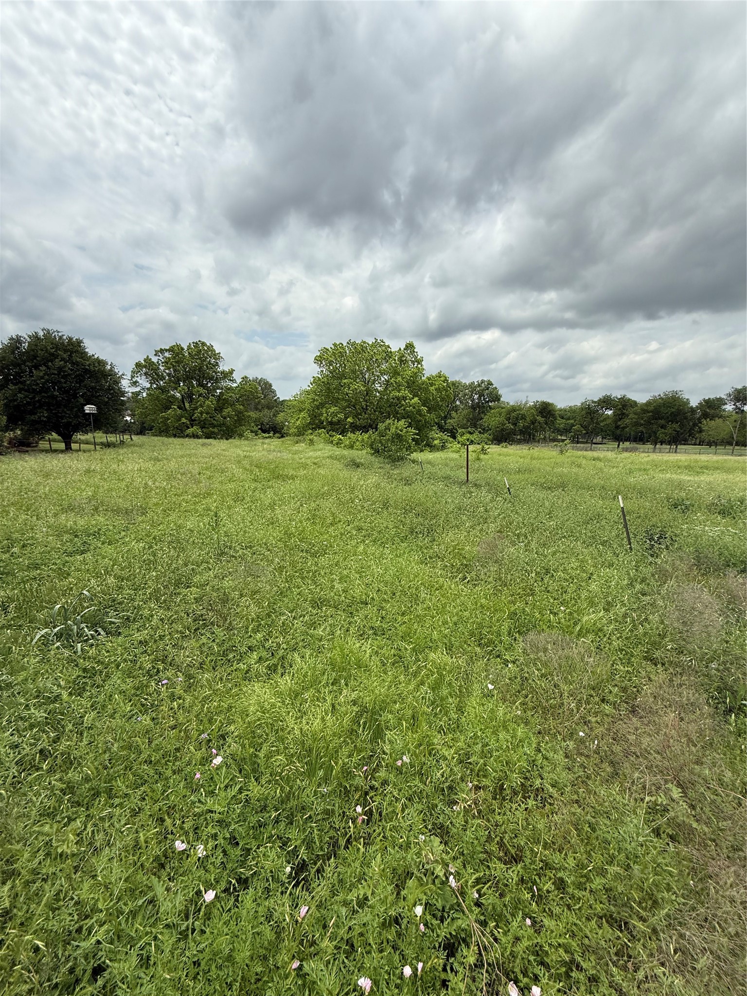 215 N Cummings Drive