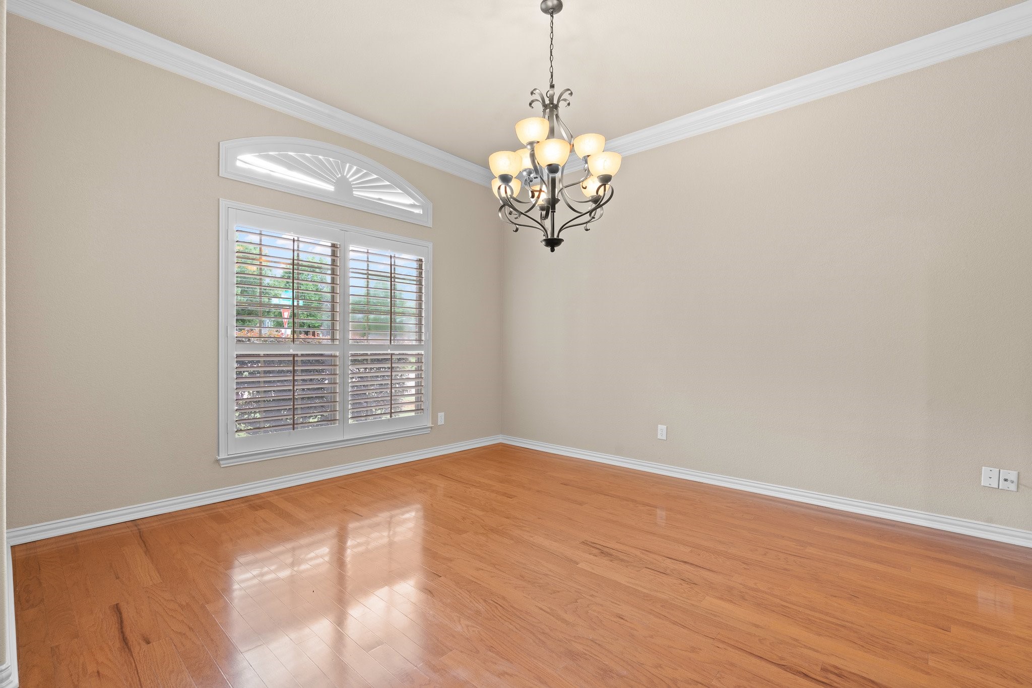 401 Shumard Oak Trail