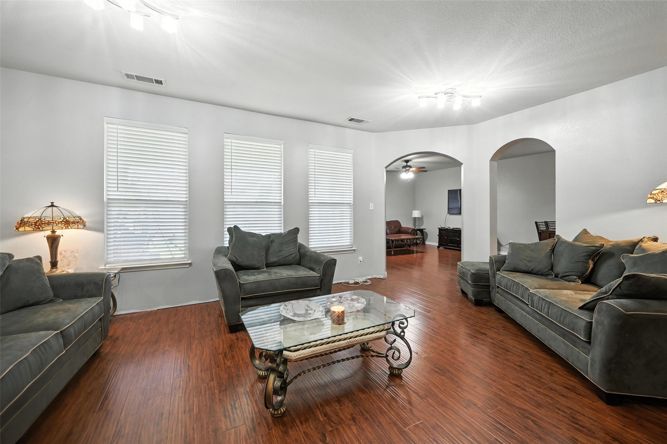 510 Poplar Vista Lane