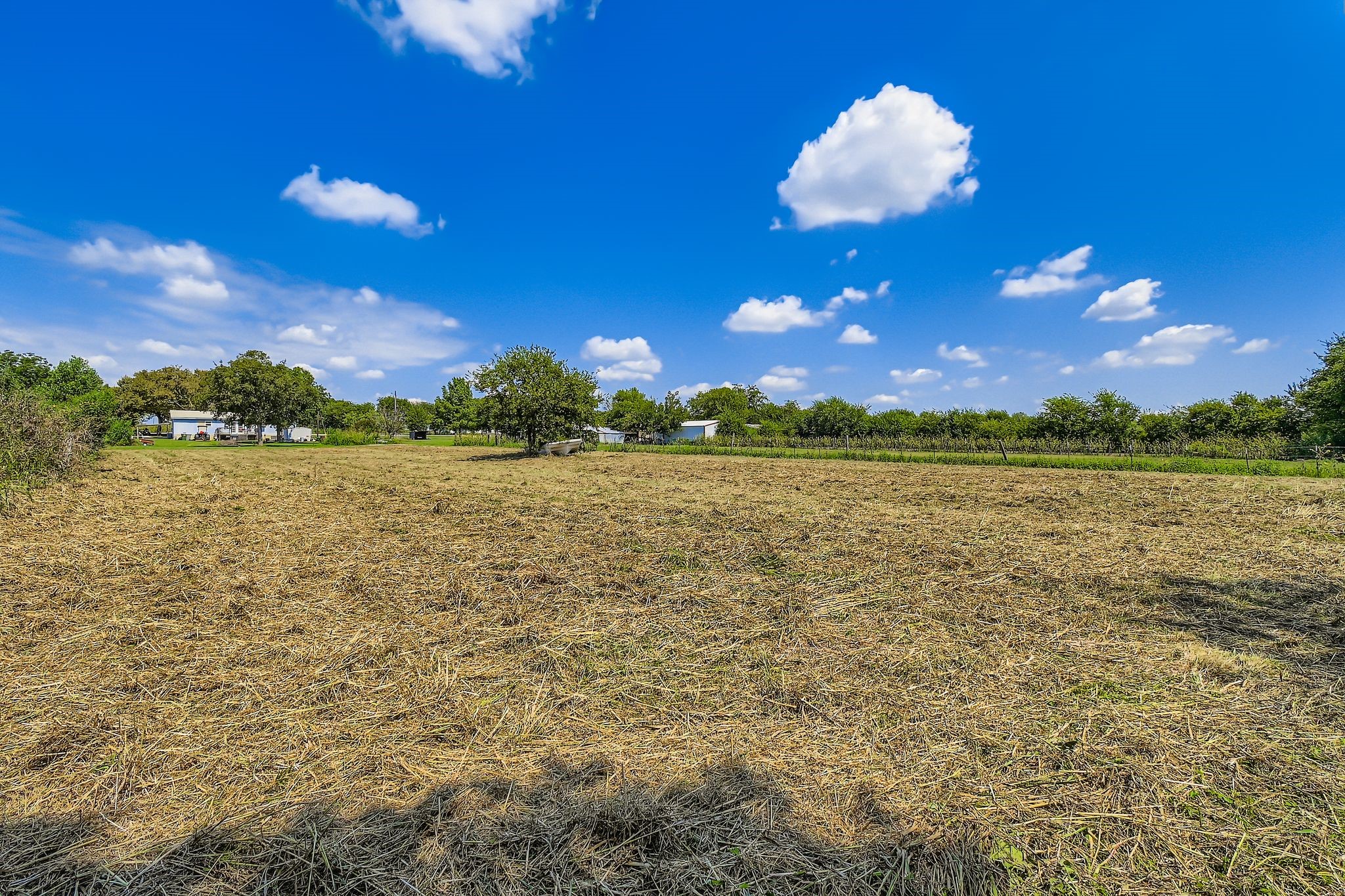 9016 County Road 513