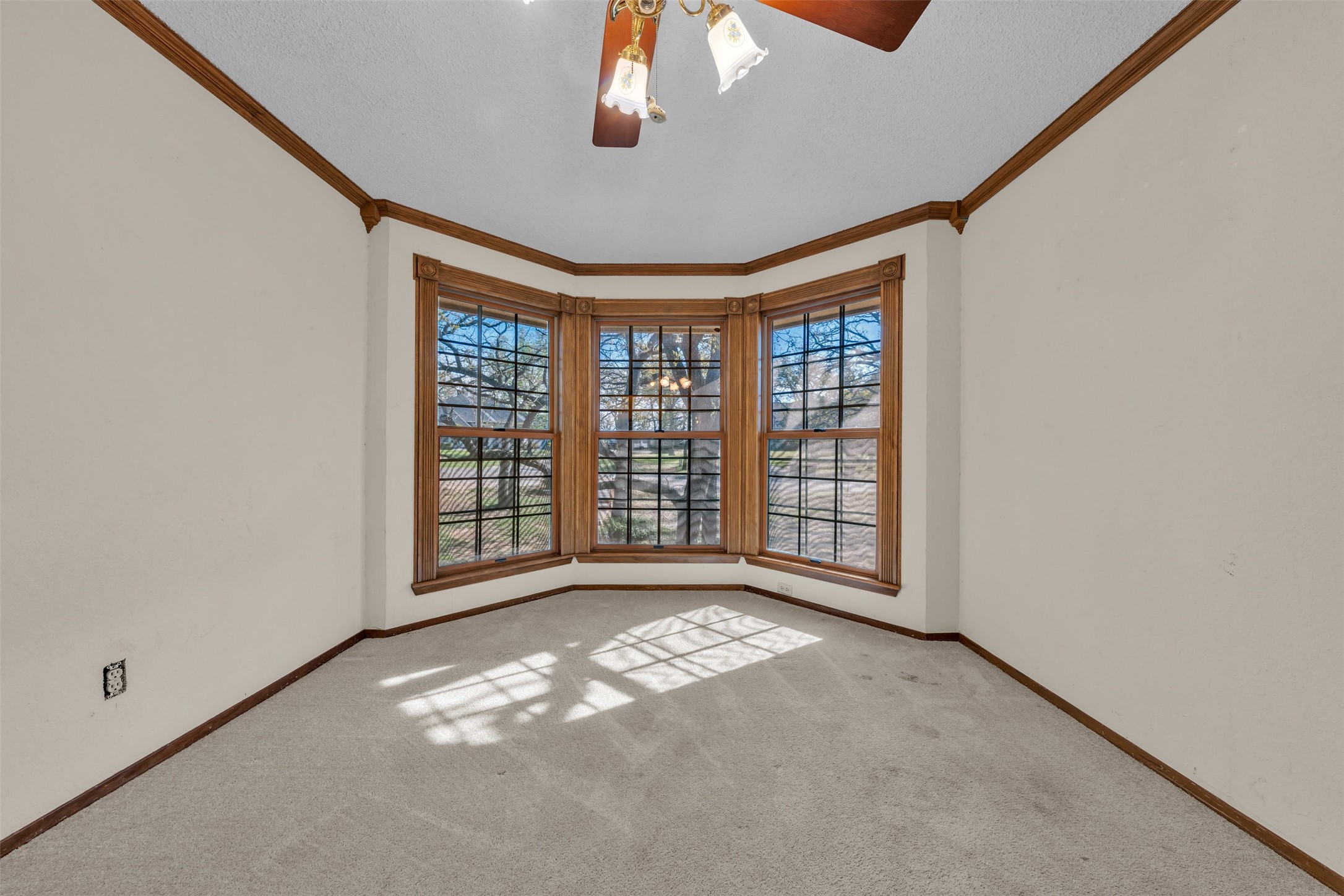 205 William Wallace Drive