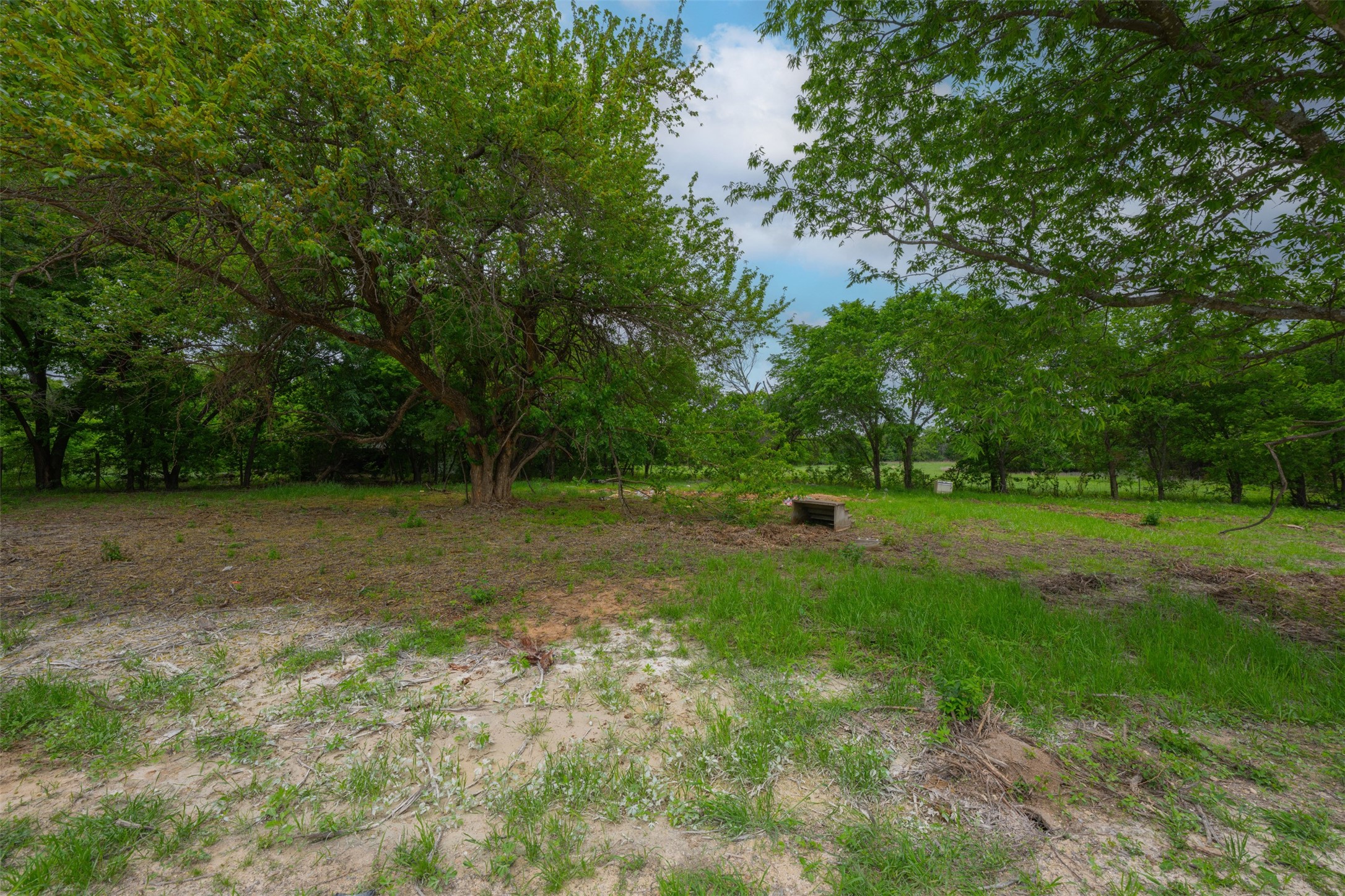 4421 County Road 317