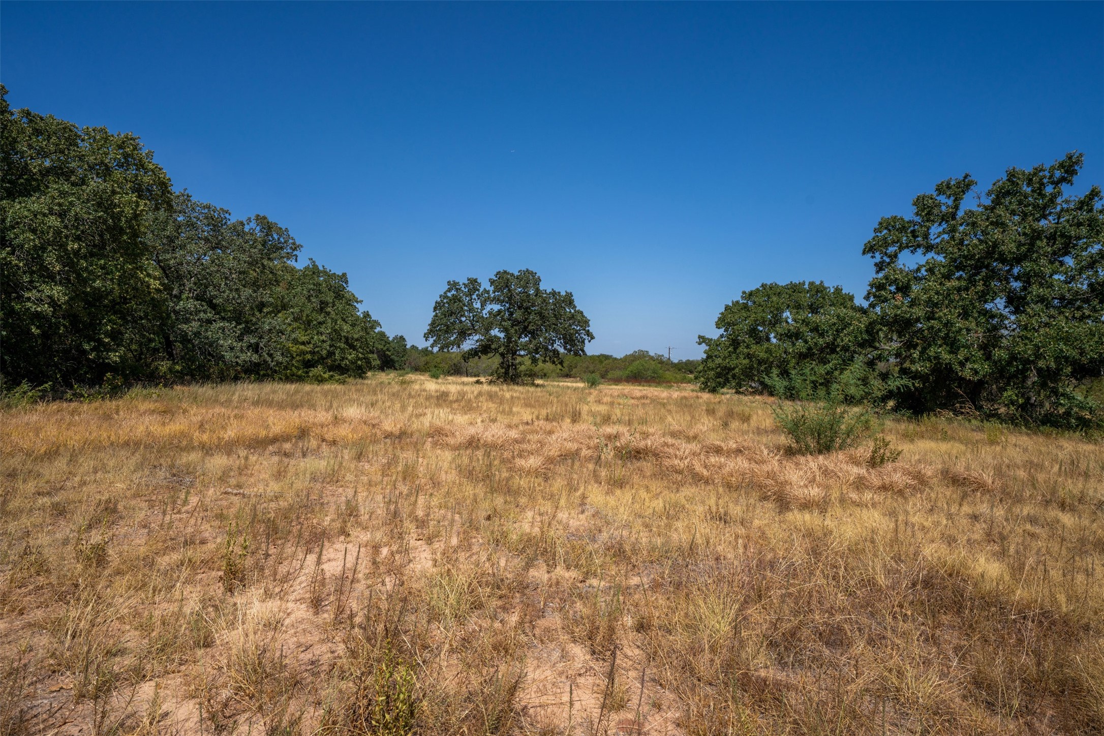1714 County Road 1886