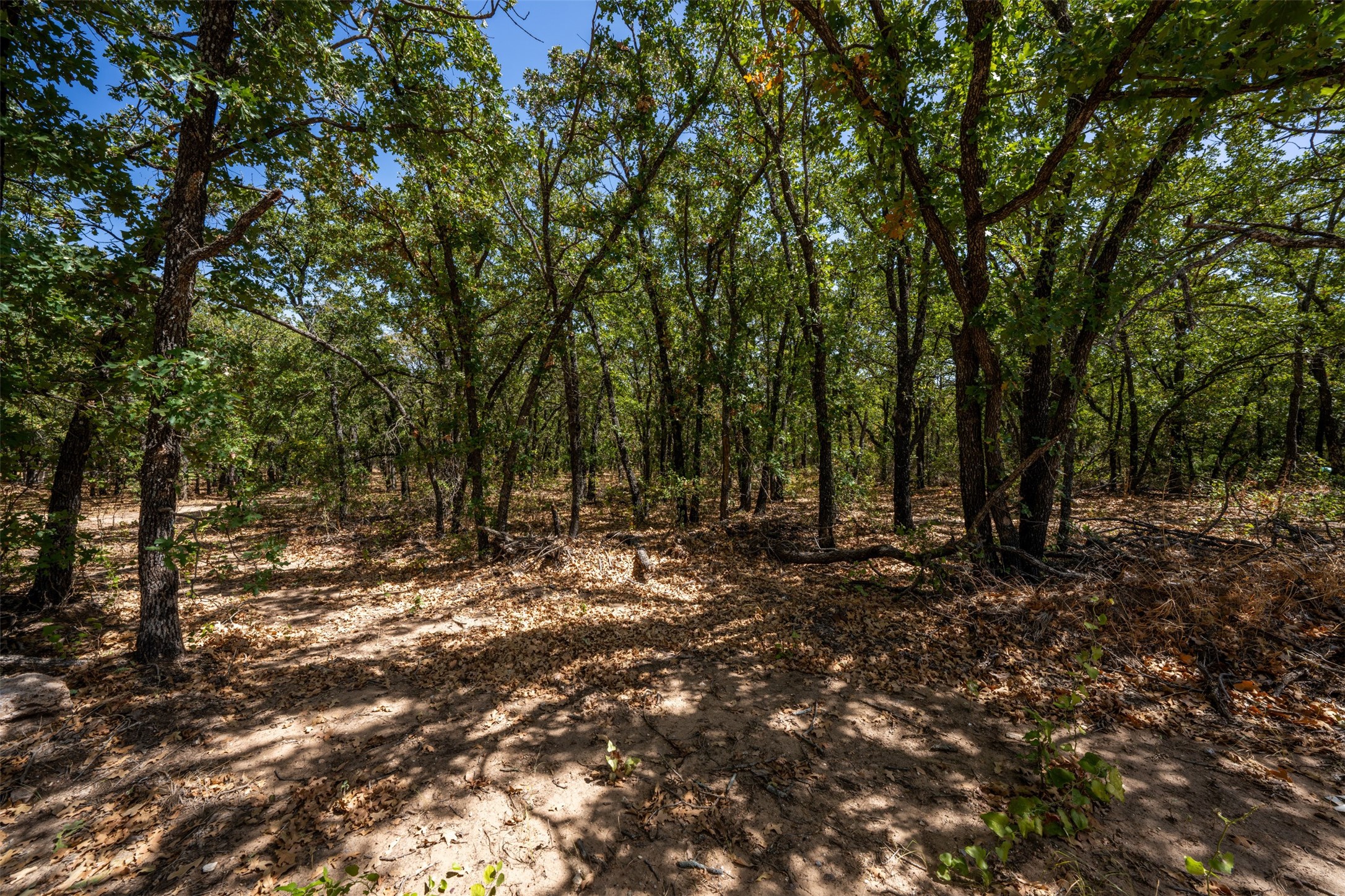 1714 County Road 1886