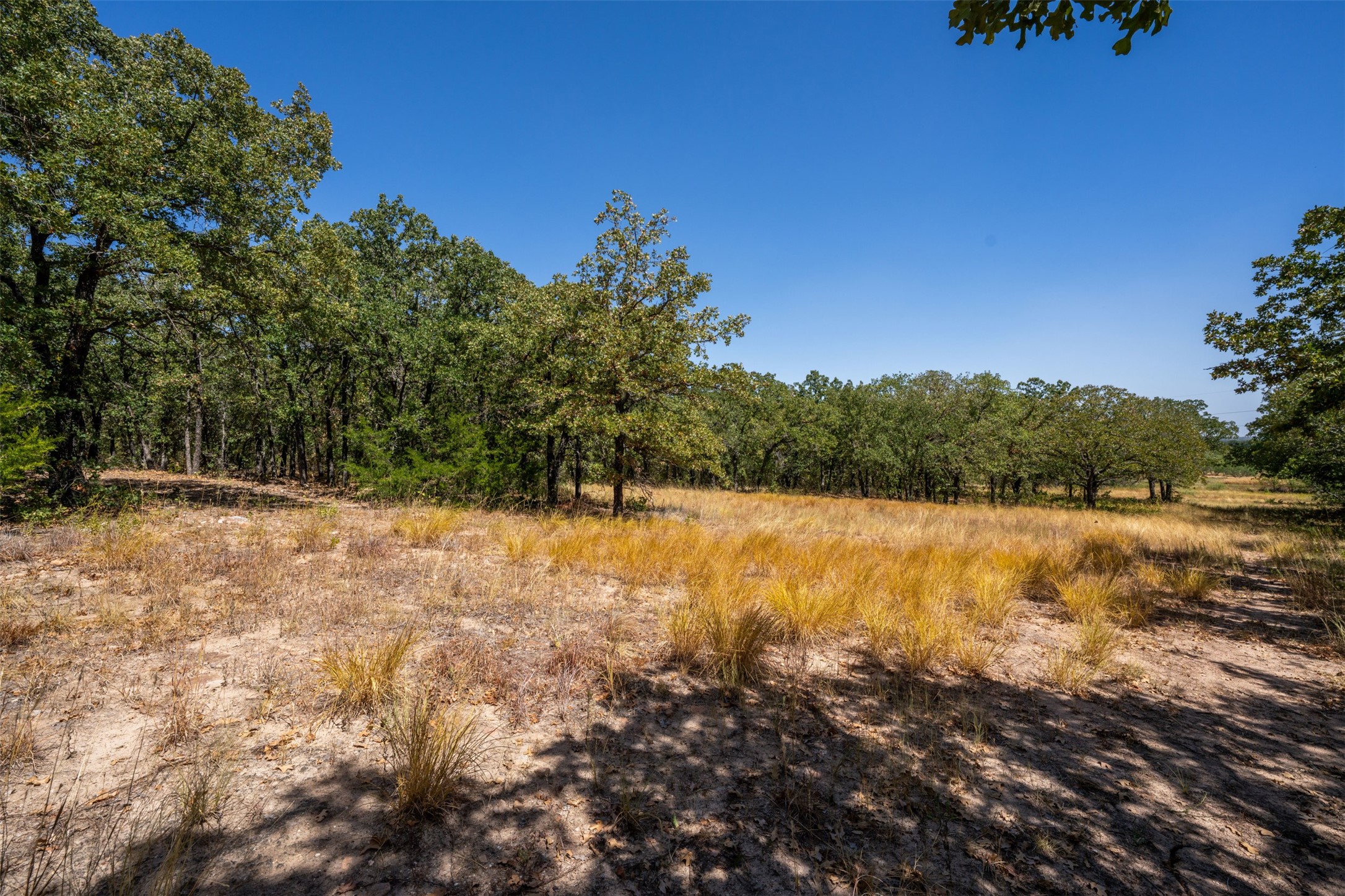 1714 County Road 1886