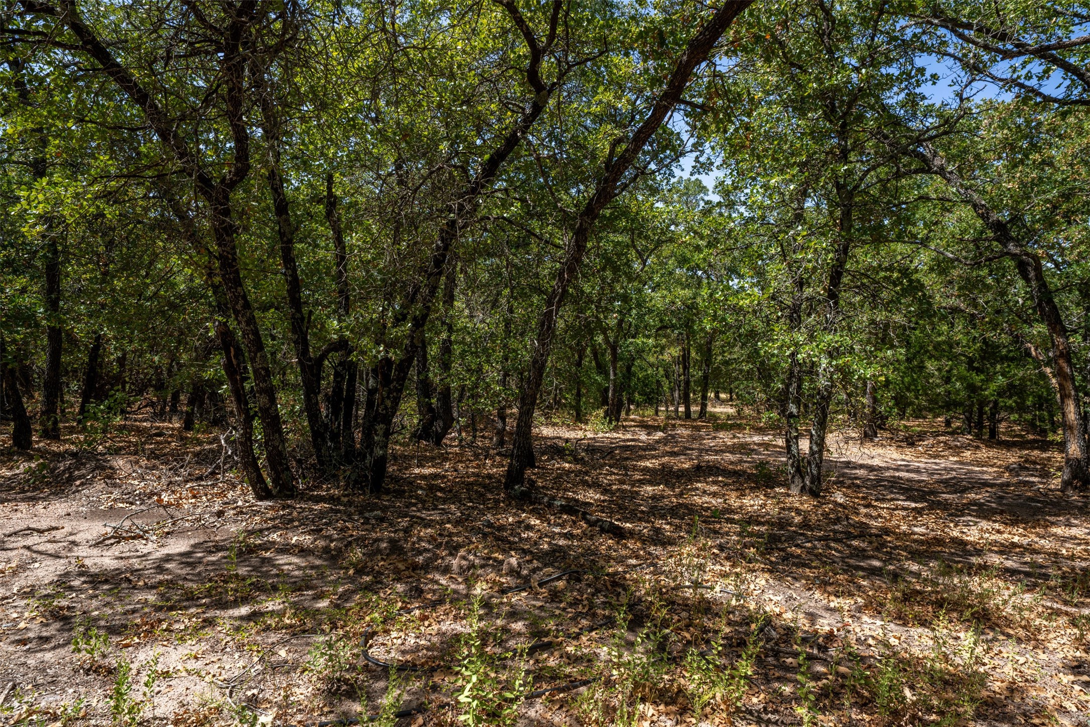 1714 County Road 1886