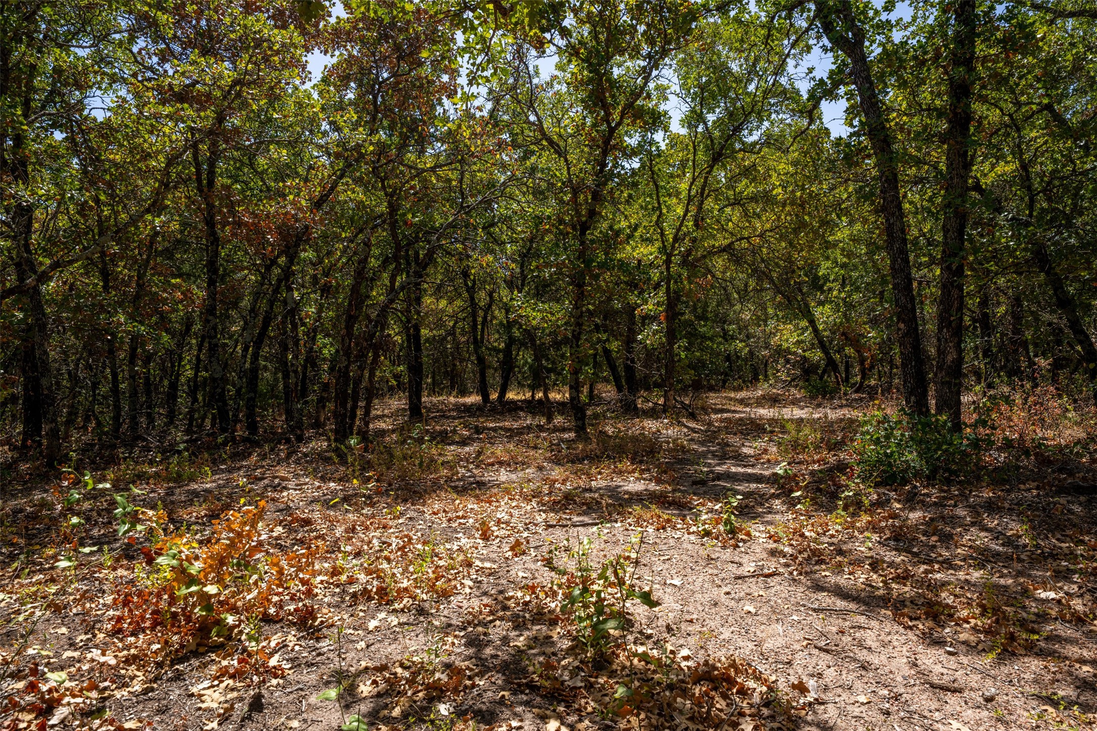 1714 County Road 1886