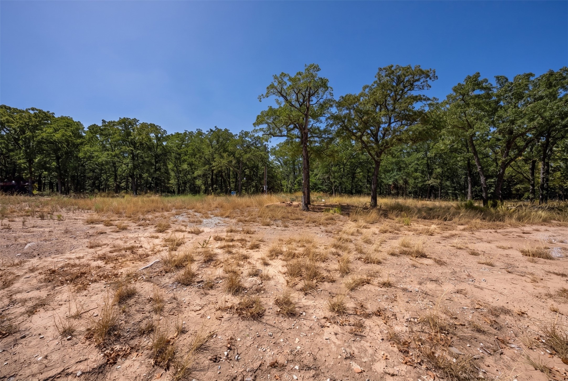 1714 County Road 1886