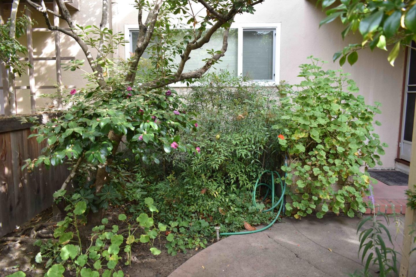 311 Waverley Street, Unit 2