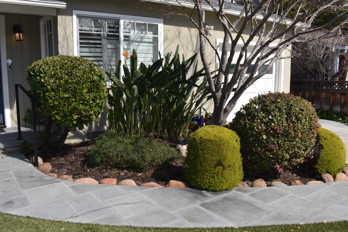 355 San Carlos AVE