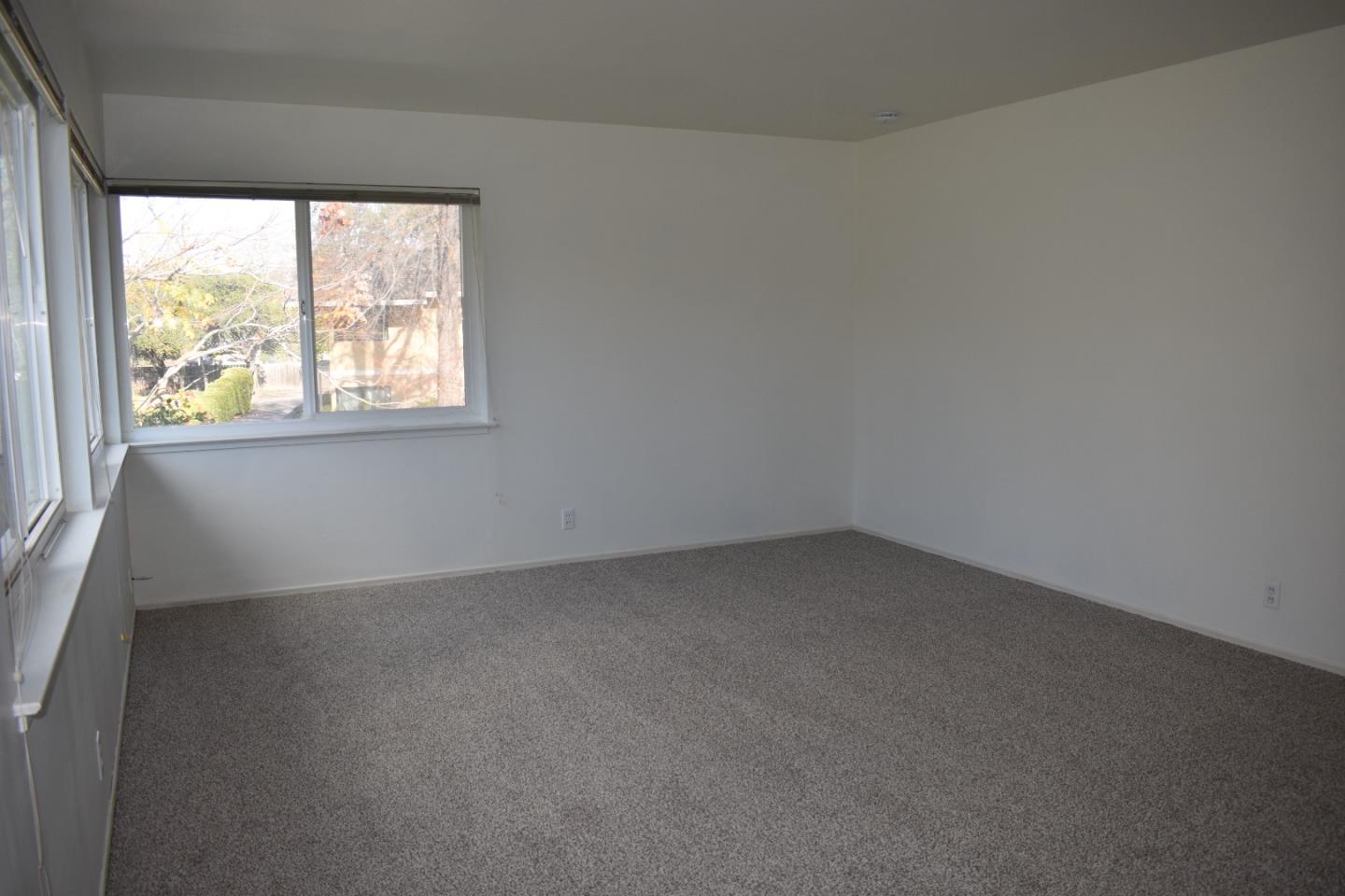 311 Waverley Street 3