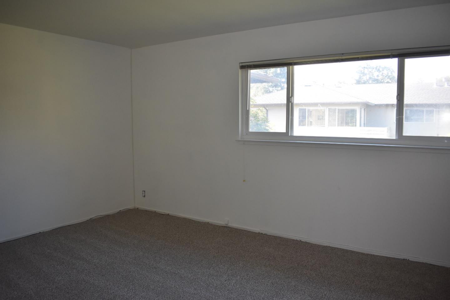 311 Waverley Street 3