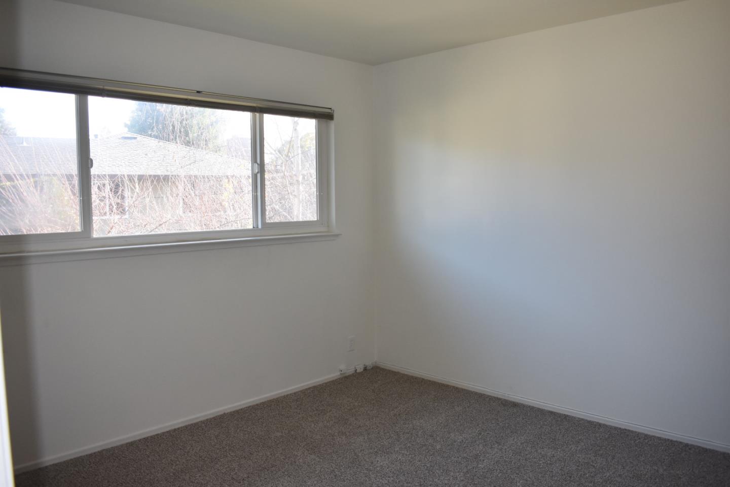 311 Waverley Street 3