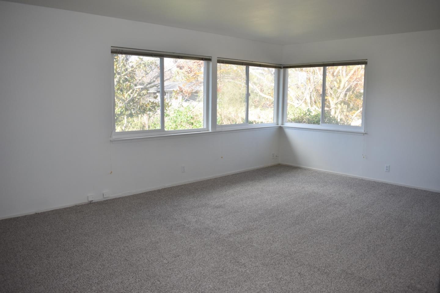 311 Waverley Street 3