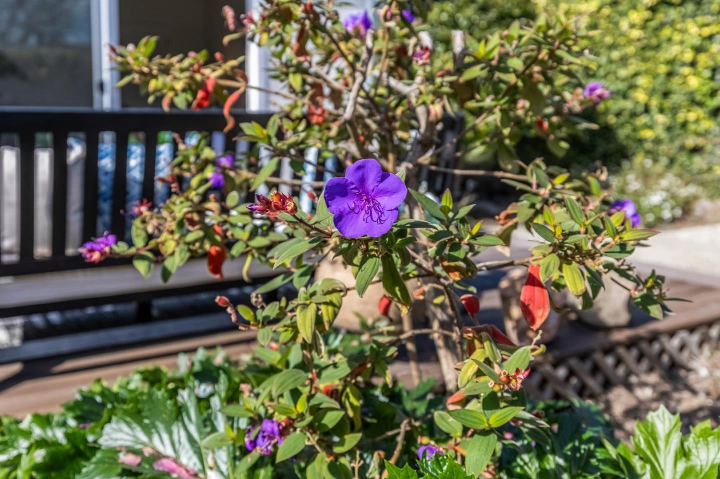 4845 Los Arboles Place