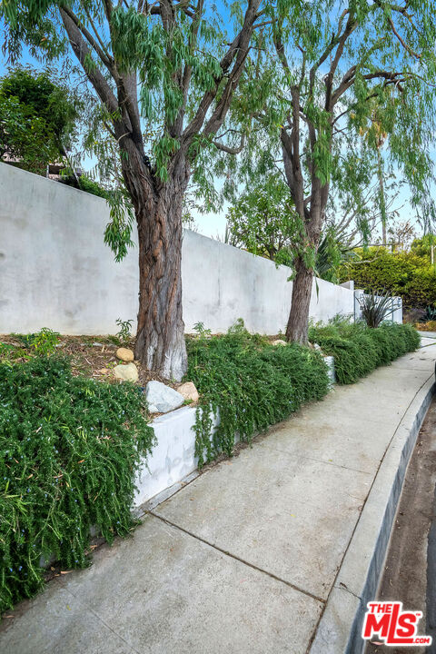 7732 Chandelle Pl