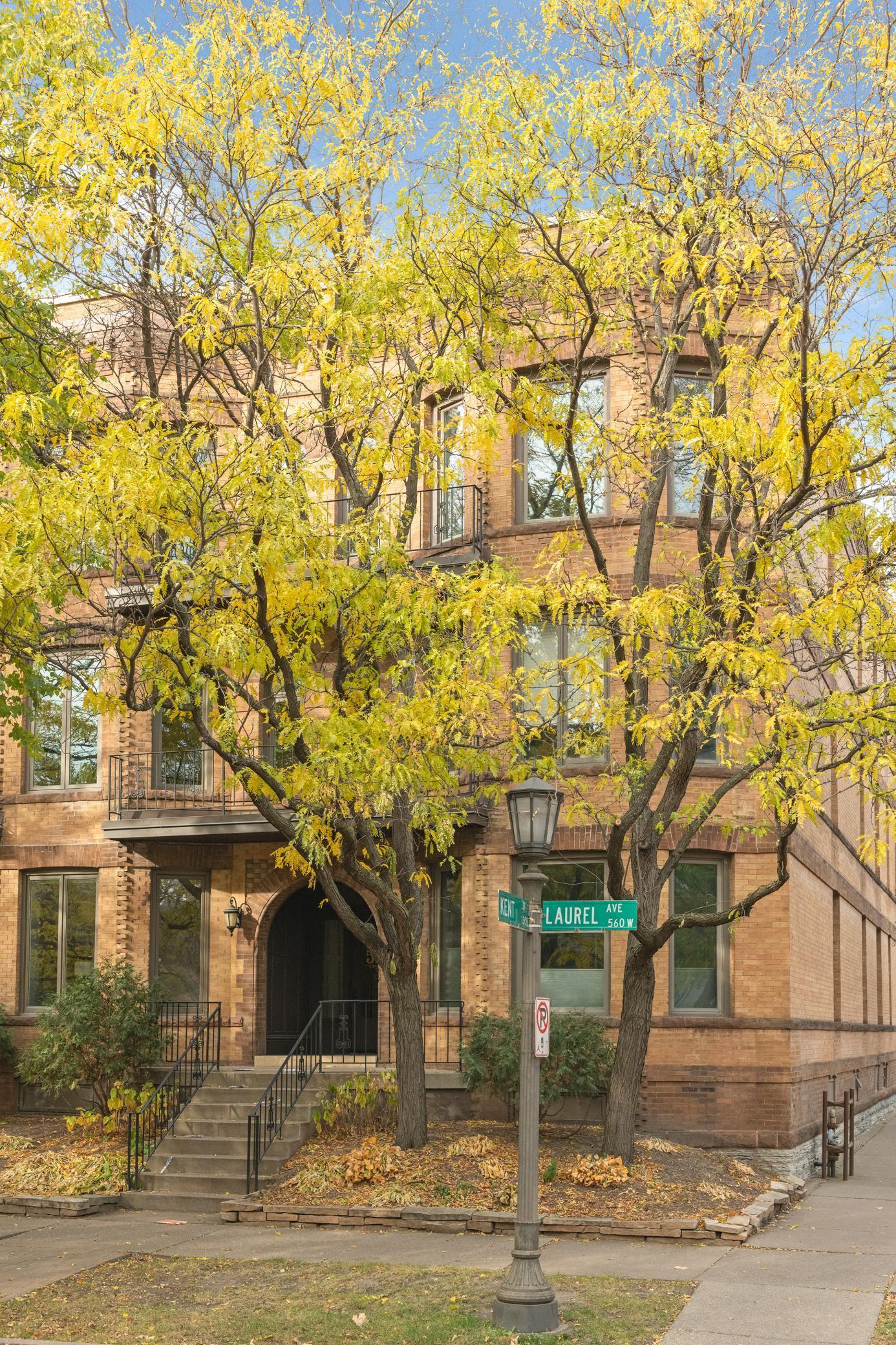 561 Laurel Avenue Unit: 3