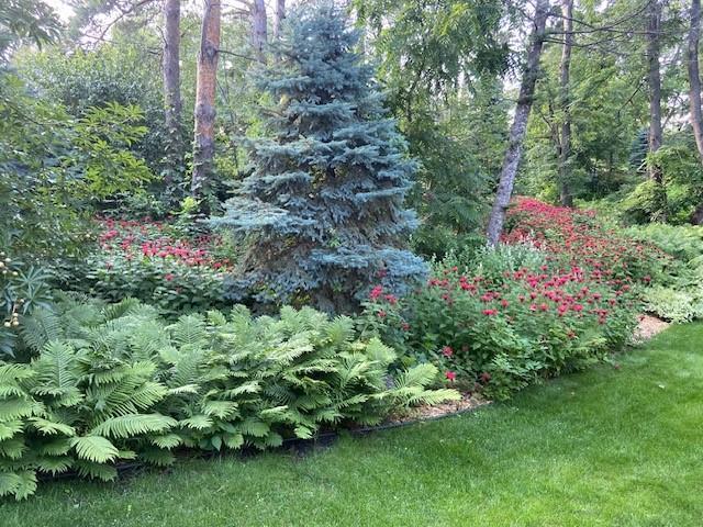 705 Valley View Court