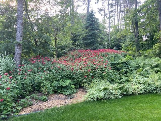 705 Valley View Court