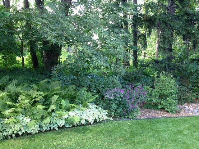 705 Valley View Court