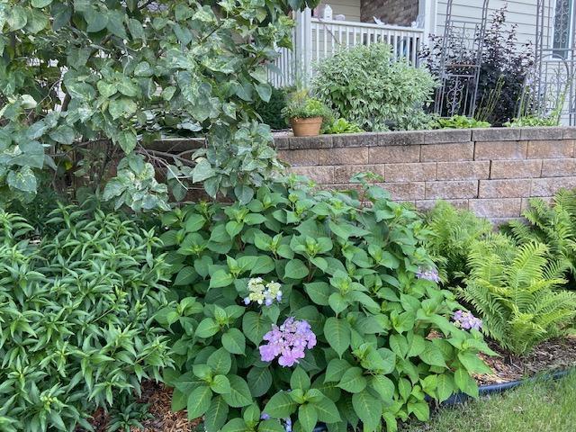 705 Valley View Court