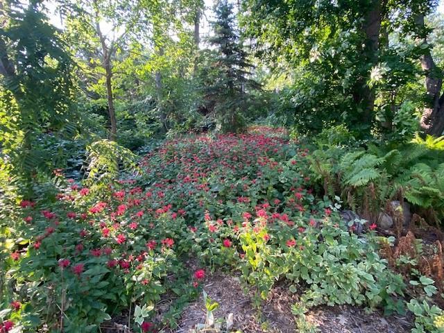 705 Valley View Court