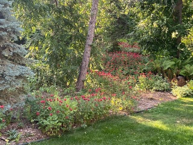 705 Valley View Court