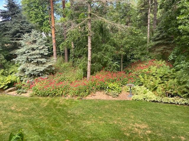 705 Valley View Court