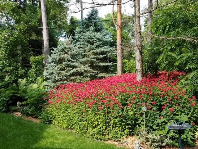 705 Valley View Court