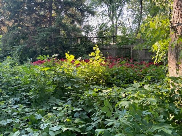 705 Valley View Court