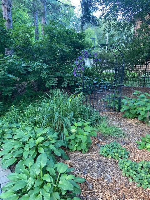 705 Valley View Court