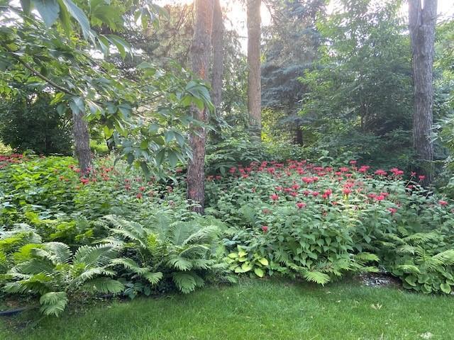 705 Valley View Court