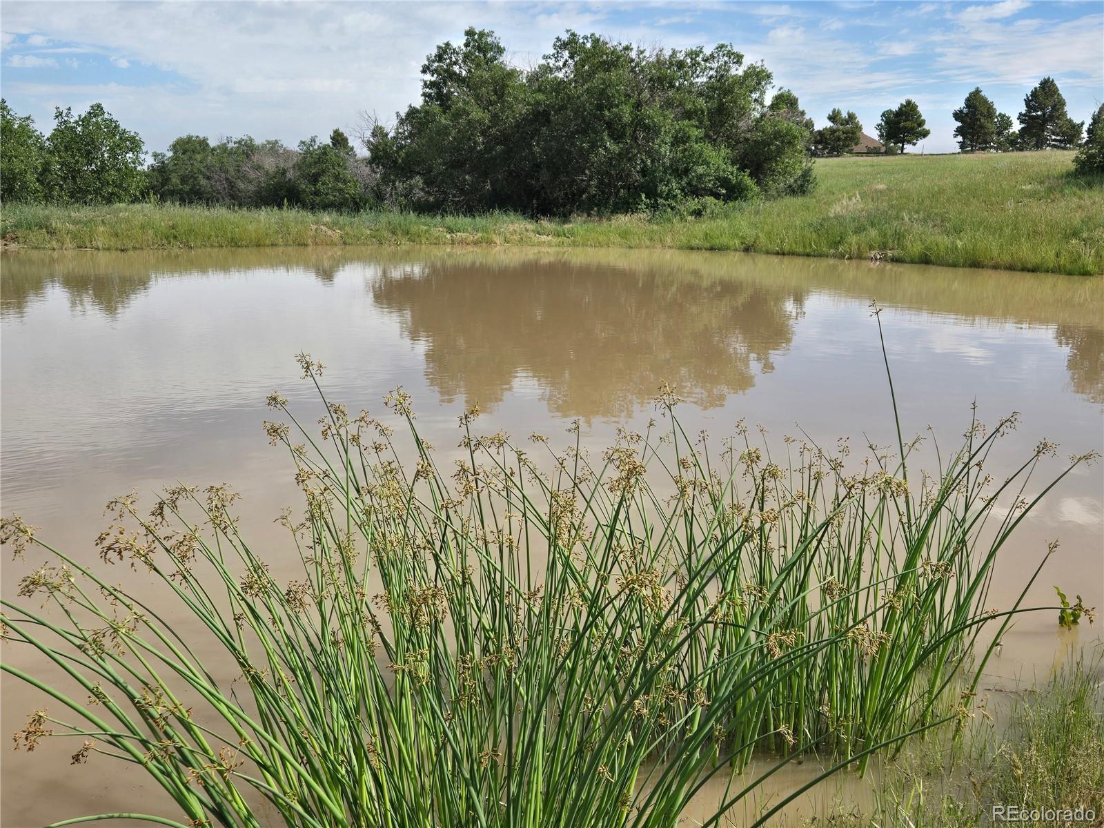 4347 N Crowfoot Valley Road