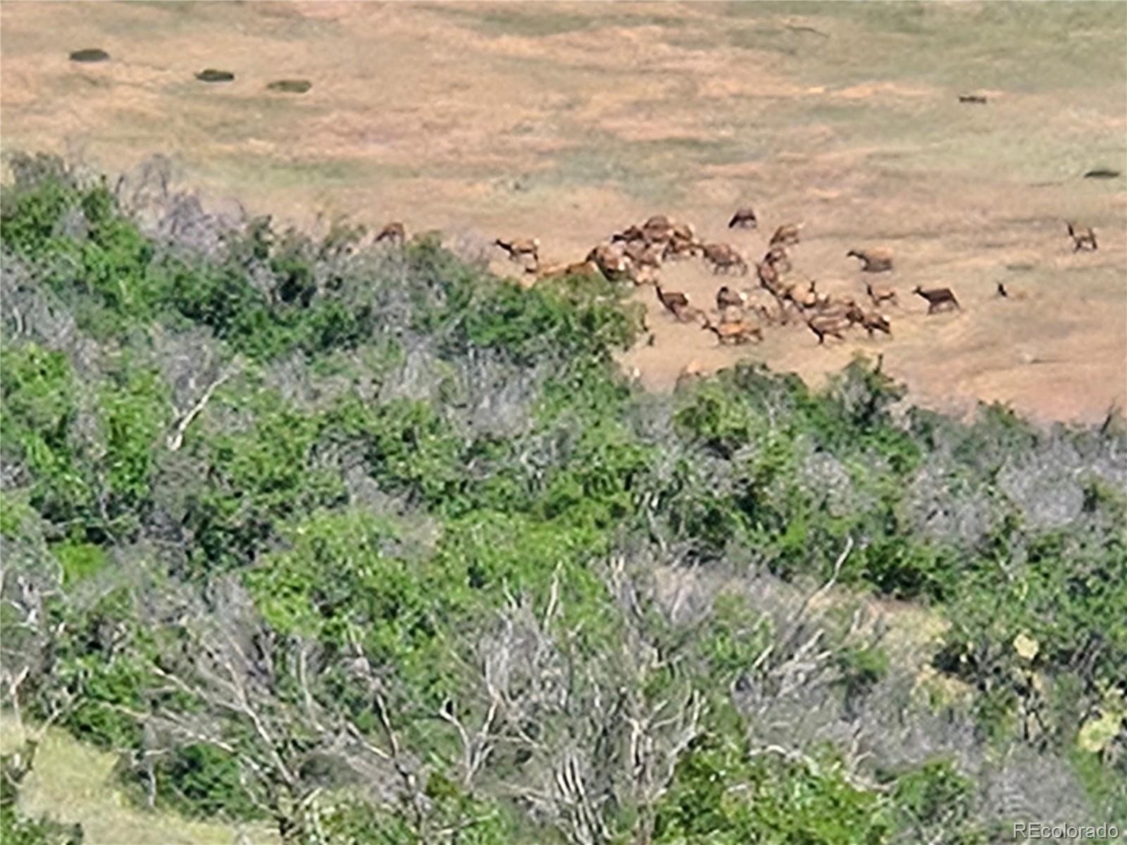 4347 N Crowfoot Valley Road