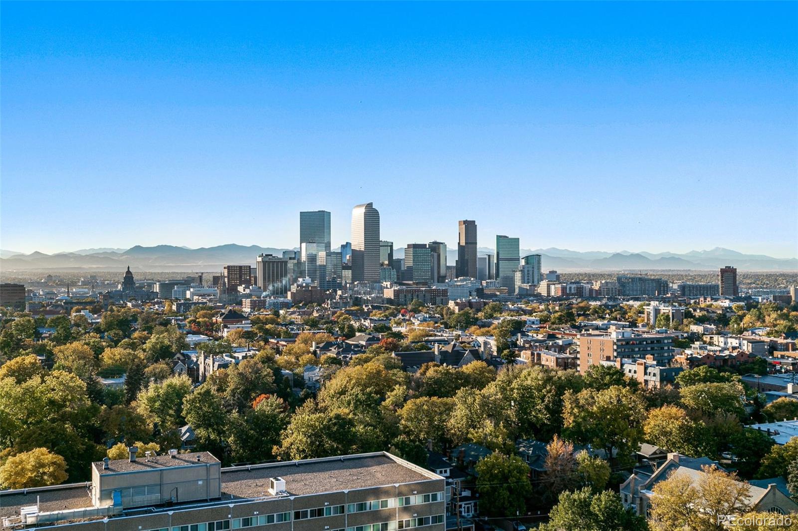1313 N Williams St Unit: 703