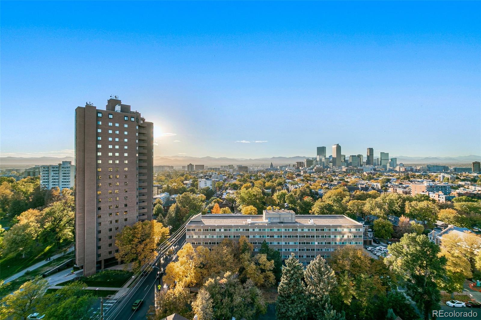 1313 N Williams St Unit: 703