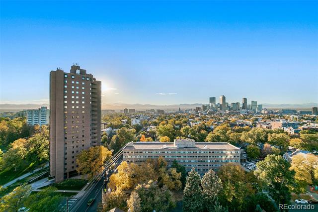 1313 N Williams St Unit: 703